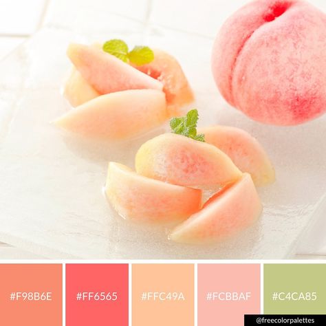 Peach Color Palette | Summer Fruit | Bright |Color Palette Inspiration. | Digital Art Palette And Brand Color Palette with hex codes for Procreate. Grapefruit Colour Palette, Pink Lemonade Color Palette, Peach Fruit Color Palette, Summer Fruit Color Palette, Passion Fruit Color Palette, Bright Summer Color Palette, Summer Newsletter, Neon Palette, Doula Website