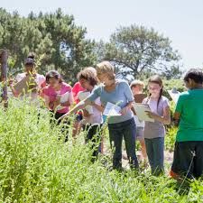 Field Trip Aesthetic, Review Aesthetic, Observational Learning, Nature Calendar, School Field Trip, Natural Science, Effective Learning, Nursing Education, School Trip