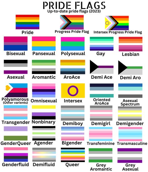 What Do All The Pride Flags Mean, Poly Pride Flag, Pride Flag Guide, Flag Meanings Pride, Flag Lgbtqia+, Pride Month Flags, Gender Identity Flags And Meanings, Sexuality Flags And Meanings, Non Valid Pride Flags