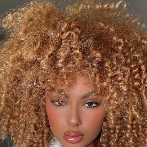 Strawberry Blonde Natural Hair, Curly Strawberry Blonde Hair, Natural Crown, Blonde Natural Hair, Curly Afro Wig, Hair Motivation, Afro Wig, Style Pinterest, Blonde Curly Hair