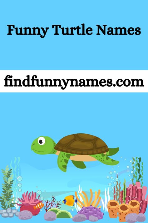 Get ready to dive into a world of hilarious and unique names for your shelled friends. We've curated a selection of the funniest and most creative turtle names out there, guaranteed to bring a smile to your face. 😄🐢 #FunnyTurtleNames #TurtleHumor #LaughWithTurtles #TurtleyHilarious Turtle Names Ideas, Turtle Names, Funny Turtle, Turtles Funny, Funny Names, Baby Turtles, Unique Names, Sea Turtle, Baby Names