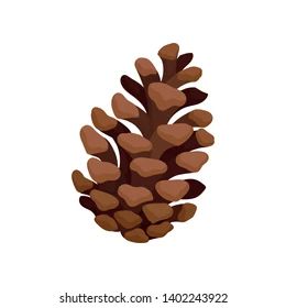 Pinecone Illustration, Pine Cone Illustration, Cone Illustration, Autumn Illustrations, Fir Cones, Christmas Pine Cones, Nature Pattern, Autumn Illustration, Bead Embroidery Patterns