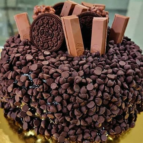 𝗖𝗿𝗮𝘇𝘆 𝗖𝗿𝗮𝘃𝗶𝗻𝗴 𝗧𝗮𝗹𝗲𝘀🍪™ na Instagramu: "♦️ Chocolate Chips Cake 😍♦️ @crazycravingtales . . 📥Dm for Paid Promotions💯 . . Follow @crazycravingtales Follow @crazycravingtales Follow…" Chocolate Drip Cake Birthday, Choco Chips Cake, Chocolate Birthday Cake Decoration, Kitkat Cake, Chocolate Cake Designs, Cake For Husband, Chocolate Drip Cake, Chocolate Chip Cake, Chocolate Food