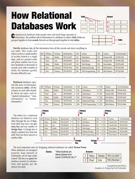 Basic description of relational database structure. Networking Basics, Access Database, Basic Computer Programming, Computer Science Programming, Web Development Programming, Data Science Learning, Learn Computer Science, Learn Computer Coding, Database Design