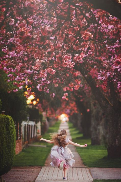 Cherry Blossom Orchard Photoshoot, Magnolia Photo, Blossom Photoshoot, Backlight Photography, Large Family Poses, Garden Photoshoot, Spring Family Pictures, Kid Pics, Photography Natural Light