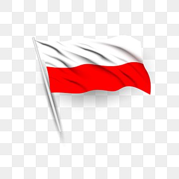 Święto narodowe,dzień niepodległości,krajowy,polska,11 listopada,święto,kraj,naród,świętować,flaga,deklaracja,macha flagą Poland Country, Poland Flag, Canada Flag, Independence Day, Country Flags, Poland, Flag