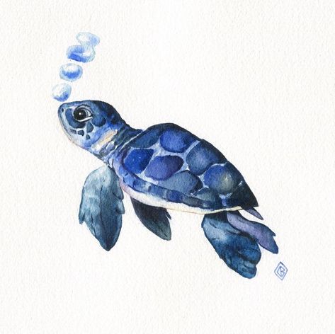 Sea Turtle Watercolor Painting, Sea Turtle Drawing, Notion Ideas, Sea Turtle Watercolor, Turtle Watercolor, Baby Sea Turtles, Summer Wallpapers, Turtle Drawing, Baby Sea Turtle