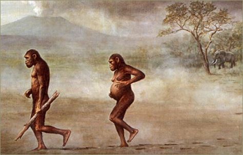 Australopithecus Afarensis, Prehistoric Man, Early Man, Earth Illustration, Early Humans, Human Evolution, History Painting, Extinct Animals, Found Art