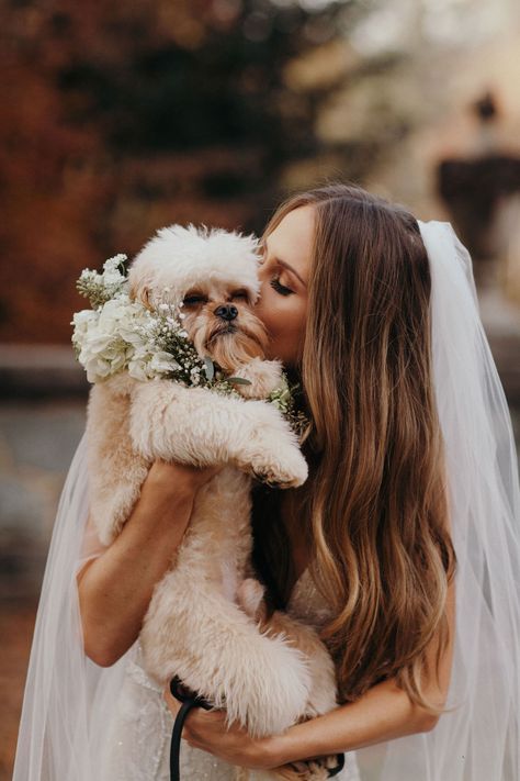 Check out this blog by "Inside Weddings" for breathtaking photos of couples with their dogs on their wedding day. We hope this helps inspire you to have your pup be apart of the ceremony solidifying your furever family. Photo by Jordan Voth Photography; Floral Design by Jackson Durham Events Dog Wedding Photos, Dog Wedding Outfits, Romantic Fall Wedding, Inside Weddings, Photos With Dog, Cream Wedding, Wedding Inside, Wedding Pets, Western Wedding