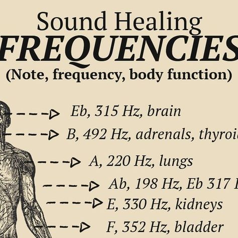 Healers of the Light on Instagram: "Did you know that each organ and function in our body has a different frequency.

Frequencies can help heal and align the body to achieve optimal performance. Of course frequency alone is not going to work if you don’t follow other protocols like the ones I shared in today’s post for communicating with your body according to Ayurveda. 

That’s a very complete guide that I will be developing one by one and also in the next online webinar coming. To be announced.

What sound frequency would you like me to share next?

❤️

#energy #fitness #wellness" High Frequency Music, Chakra Music, Frequency Healing, Sound Frequency, Biology Major, High Vibrations, Sound Frequencies, Healing Frequencies, Spiritual Manifestation