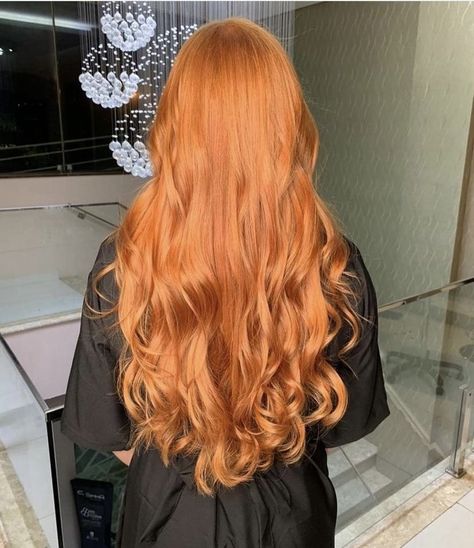 Long Ginger Hair Aesthetic, Light Ginger Hair Strawberry Blonde, Ginger Long Hair, Orange Ginger Hair, Long Auburn Hair, Pretty Red Hair, Cheveux Oranges, Natural Red Hair, Red Hair Inspo