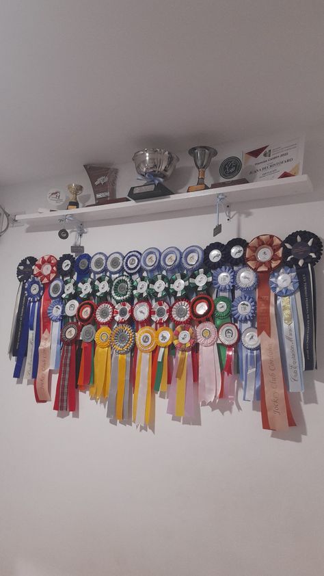 Horse Rosette Display, Horse Show Prizes Ideas, Equestrian Ribbon Display Ideas, Rosette Display Ideas, Equestrian Bedroom Ideas, Horse Ribbon Display Ideas, Horse Rosettes, Horse Ribbons Display Ideas, Horse Show Ribbon Display