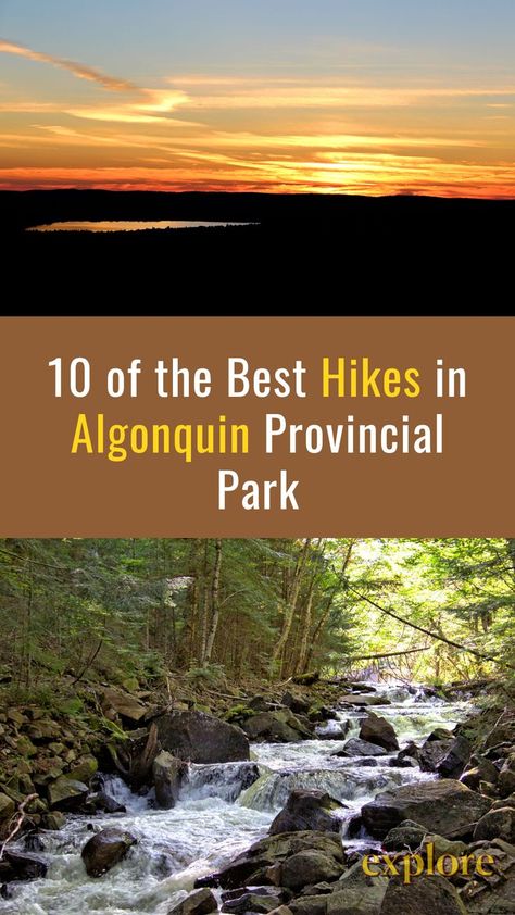 Ontario Provincial Parks, Algonquin Provincial Park, Beginner Hiking, Canada Trip, Algonquin Park, Rv Adventure, Backcountry Camping, Parks Canada, Canada Road Trip