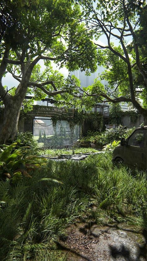 Plant Apocalypse Aesthetic, Overgrowth Aesthetic, Post Apocalyptic Nature, Plant Apocalypse, Nostalgia Images, Overgrown Apocalypse, Dystopian Nature, Tlou Aesthetic, Apocalypse Landscape