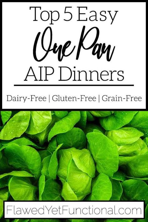 Check out these 5 easy AIP dinners that are all made in one pan! Quick and easy dinners while on the AIP diet? Yes, please! #AIP #AIPdinner #onepan #glutenfree #dairyfree Aip Dinner Recipes, Aip Dinners, Aip Dinner, Paleo Flour, Egg And Grapefruit Diet, The Egg Diet, Diet Dinner, Autoimmune Diet, Egg Diet Plan