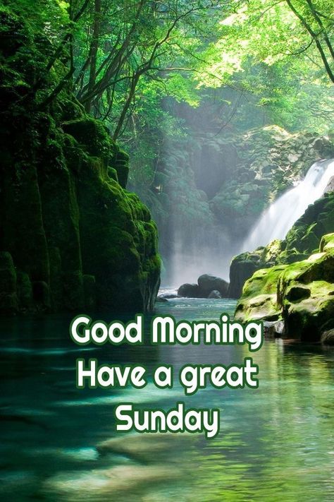 Sunday Morning Pics, Sunday Good Morning Wishes, Happy Sunday Flowers, Dasara Wishes, Beautiful Morning Pictures, Sunday Flowers, Good Morning Messages Friends, Good Morning Nature Images, Sabbath Quotes