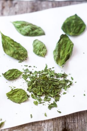 Drying Basil In Microwave, How To Dry Herbs In Microwave, Drying Herbs In Microwave, Dry Basil, Drying Fresh Herbs, Preserving Herbs, Dry Herbs, Dried Basil, Healthy Herbs