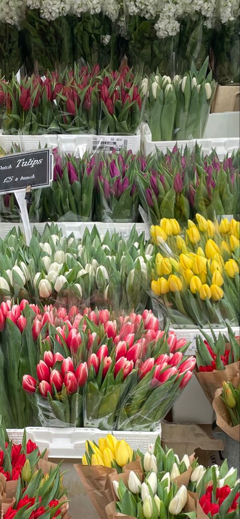 Tulip Market, Tulips Aesthetic, The Flower Market, Purple Tulips, White Tulips, Floral Shop, If I Was A, Pink Tulips, Aesthetic Vibes