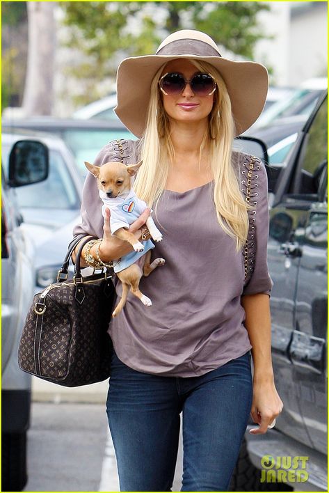 Paris Hilton Dog, Tinkerbell Costume, Celebrity Dogs, Vintage Icons, Celebrity List, Paris Photos, Beloved Dog, Paris Hilton, Just Jared