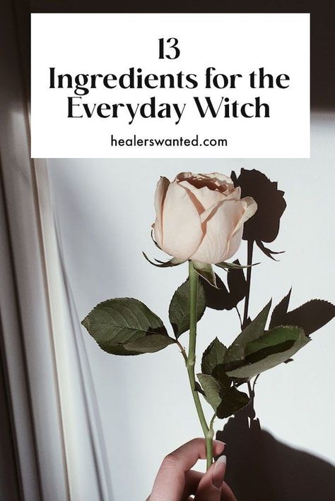 13 pantry staples for creating everyday magic. #spells #practicalmagic #witch #witchcraft Everyday Magic, Spiritual Things, Folk Magic, Wellness Trends, Psychic Powers, Money Spells, Mental Health Resources, Wellness Quotes, Earth Elements