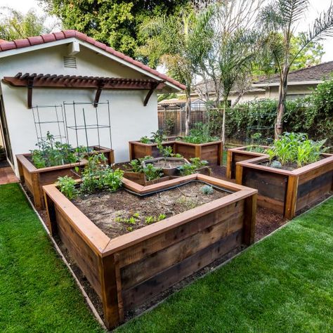 Raised Planters, Raised Bed Garden Design, Raised Vegetable Gardens, Vegetable Garden Raised Beds, Garden Layout Vegetable, Garden Vines, Backyard Vegetable Gardens, Garden Area, Homestead Survival