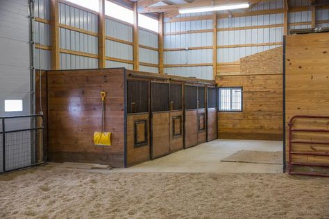 Equine Vet Clinic, Horse Trailer Renovation, Custom Horse Stalls, Equine Vet, Livestock Barn, Horse Barn Ideas Stables, Barn Stalls, Horse Arena, Mini Barn