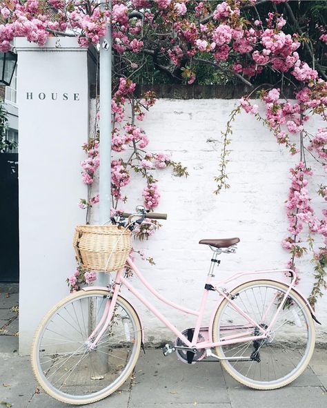 Wanting a stone wall, yet a painted brick could work with Rugosa roses, lavender, and rockery plantings... Pink Bicycle, Vintage Clipart, Pink Cadillac, Interior Vintage, Pastel Decor, Spring Aesthetic, Vintage Diy, Spring Vibes, Jolie Photo