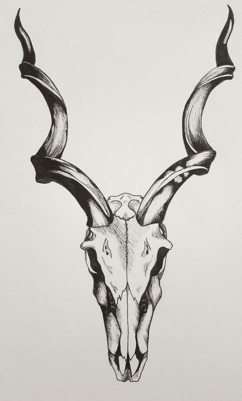 Capricorn Horns Drawing, Antelope Skull Drawing, Pronghorn Skull Tattoo, Gazelle Skull Tattoo, Kudu Skull Tattoo, Horned Skull Tattoo, Antelope Skull Tattoo, Capricorn Skull Tattoo, Demonic Tattoos For Men