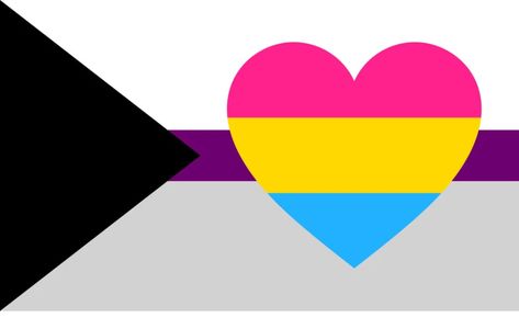 demisexual flag - Google Search Demisexual Flag, Panromantic Demisexual, Brandon Boyd, Lgbtq Flags, Pansexual Pride, Lgbt Flag, Flag Sizes, Lgbtq Pride, I Love You All