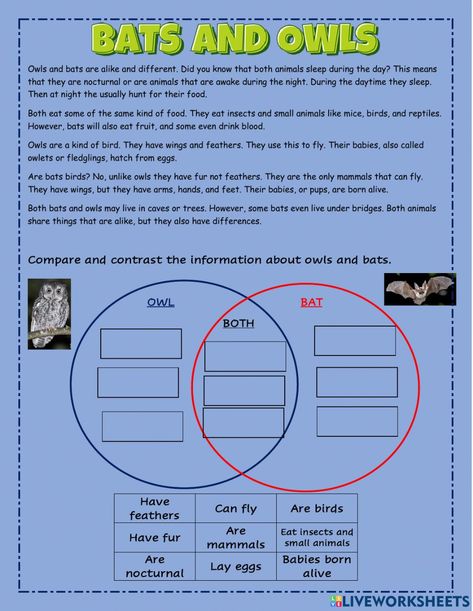 Compare And Contrast Worksheet, Fiction Vs Nonfiction, Reading Main Idea, English 101, Classroom Bulletin Boards Elementary, Sight Word Reading, Maths Solutions, Sight Word Practice, Paragraph Writing