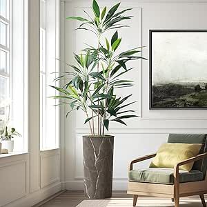 Amazon.com: SIGNWIN Artificial Tree in Modern Granite Effect, Fake Dracaena Tree Silk Tree for Indoor and Outdoor Home Decoration - 66" Overall Tall (Plant Pot Plus Tree) : Home & Kitchen Tall Plant, Tree Artificial, Faux Moss, Silk Tree, Plastic Planters, Modern Planters, Artificial Trees, Tall Plants, Outdoor Home