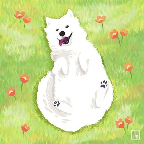 Samoyed Watercolor, Samoyed Illustration, Samoyed Painting, Cute Dogs Drawing, Samoyed Wallpaper, Dog Cute Drawing, Samoyed Drawing, Dog Illustration Cute, Cute Dog Illustration