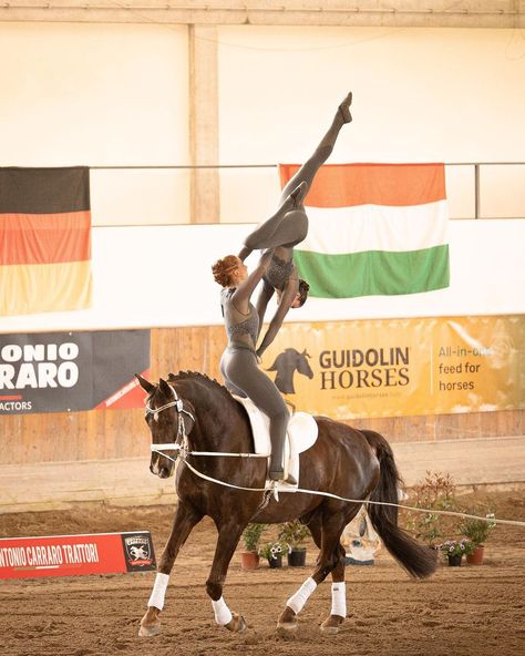 Vaulting Equestrian, Horse Vaulting, Trick Riding, Free Rein, Team 2, Fourth Wing, Vaulting, The Arts, Gymnastics