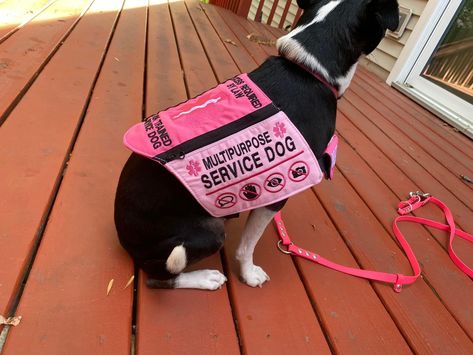 Custom Service Dog Vests, Pink Service Dog Gear, Service Dog Gear, Vest Ideas, Service Dog Patches, Service Dogs Gear, Dogs Stuff, Service Dog Vests, Dog Vests