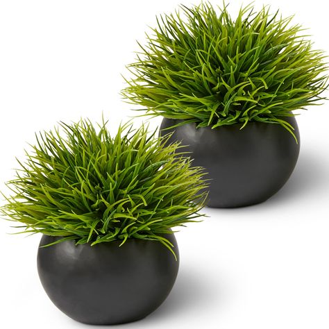 PRICES MAY VARY. REALISTIC FAUX PLANTS – Don’t have a green thumb? No worries. SEEKO’s 2-pack of hyper-realistic faux plants looks & feels like the real thing. No water, sunlight, or crafting is needed to maintain these decorative plants! THE PERFECT SIZE – These artificial plants are potted in matte black ceramic pots. Its realistic size of 6.5 x 6.5 inches makes it great for centerpieces, office decor, living room decor, and more! ACCENTS ANY DECOR – All of our faux plants are sized, styled, a Plants For Bathroom, Plants For Office, Masculine Home Decor, Desk Plant, Fake Potted Plants, Masculine Decor, Bathroom Shelf Decor, Decorative Plants, Desk Plants