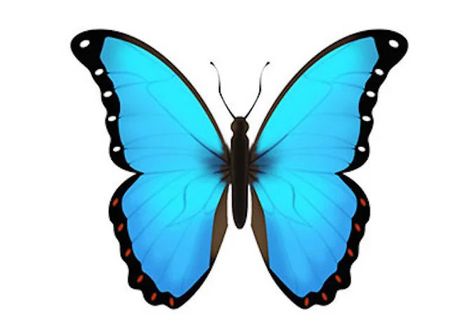 Blue Butterfly Meaning, Snapchat Emoji Meanings, Diamond Emoji, Butterfly Spirit Animal, Butterfly Emoji, Emoji Meanings, Snapchat Emojis, Butterfly Meaning, Meaning Of Blue