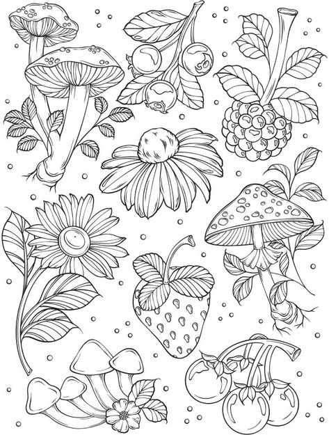 Dover Publications Coloring Pages, Dover Coloring Pages, Dover Publications Coloring, Adult Coloring Books Printables, Fruit Coloring Pages, Dover Publications, Detailed Coloring Pages, Coloring Pages For Adults, Easy Coloring Pages