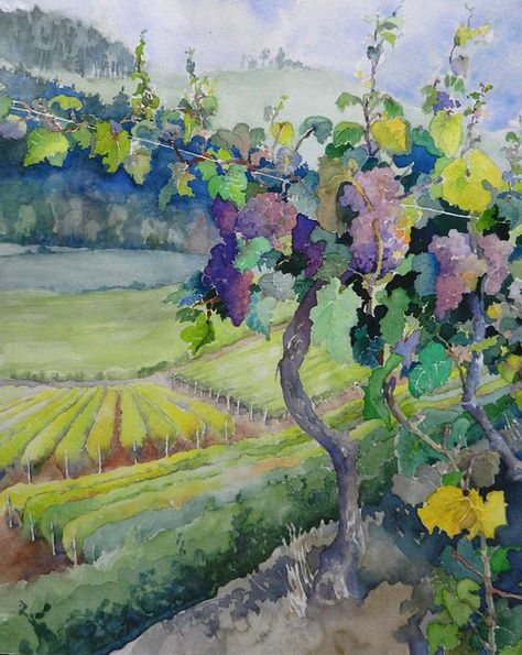 "Benton County Vineyard" by Doyle Leek by Corvallis Fall Festival, via Flickr Australian Landscapes, Vineyard Art, Artsy Ideas, Paintings Tutorials, Wine Vineyards, Mural Ideas, Watercolor Fruit, Modern Landscape, Wine Art