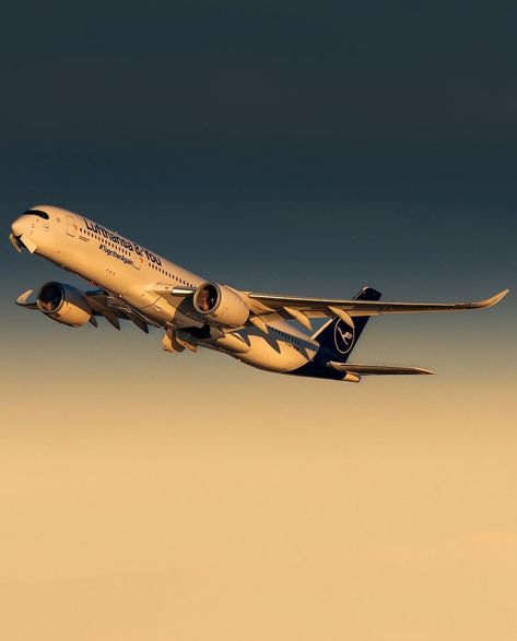 Plane Icon Aesthetic, A350 Wallpaper, Plane Wallpaper, Plane Icon, Airbus A350, Commercial Plane, Plane And Pilot, Airplane Wallpaper, Pilots Aviation