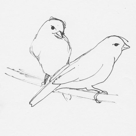 drawing of canary | Saturday, June 01, 2013 Texture Plates, Goshen Indiana, Abstract Art Projects, Canary Birds, Bird Illustrations, Bird Sketch, Nature Sketch, Silhouette Stencil, Sketch Inspiration