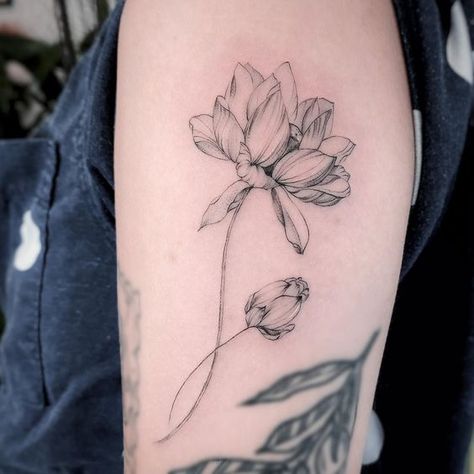 Lotus Black And White Tattoo, Resilience Flower Tattoo, Jade Flower Tattoo, Buddhist Lotus Tattoo, Lotus Flower Bouquet Tattoo, Chinese Lotus Tattoo, Vietnamese Lotus Tattoo, Lotus Flower Fine Line Tattoo, Water Lotus Tattoo