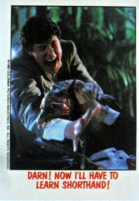 Fright Flicks Trading Cards | Fright Night Wiki | Fandom William Ragsdale, Amanda Bearse, Fright Night 2011, Peter Vincent, Chris Sarandon, Cars Music, Garbage Pail Kids, Card Model, Fright Night