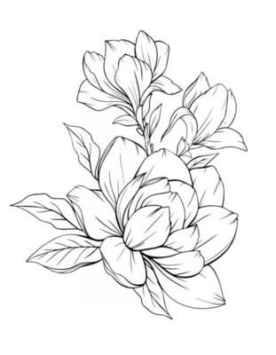 Magnolia Flower Outline Magnolia LIne Art Line Drawing 3325111 Vector Art at Vecteezy Flower Outline For Painting, Magnolia Embroidery Pattern, Big Flower Drawing, Flower Outline Art, Woman Outline Drawing, Magnolia Outline, Line Work Flowers, Magnolia Flower Drawing, Magnolia Drawing