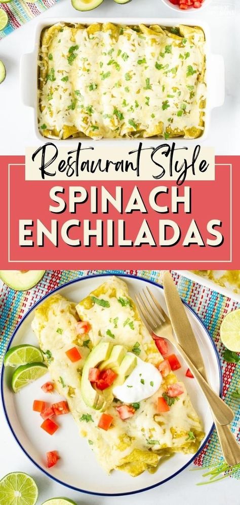 Spinach Enchiladas are loaded with spinach and cheese, and topped with a green enchilada sauce. They are my favorite entrée at a local Mexican restaurant, but now you can replicate this recipe in your own kitchen. Fresh ingredients and a homemade green enchilada sauce combine together to make this one of the best enchiladas you’ve ever tasted. Homemade Green Enchilada Sauce, Spinach Enchiladas, Best Enchiladas, Vegetarian Enchiladas, Green Enchilada Sauce, Favorite Dessert Recipes, Mexican Food Recipes Easy, Enchilada Recipes, Spinach And Cheese