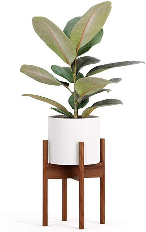 Amazon.com : Fox & Fern Tall Plant Stand Acacia - EXCLUDING 10" White Ceramic Plant Pot : Patio, Lawn & Garden Mid Century Modern Plant Stand, Mid Century Modern Plants, Indoor Plant Stand, Century Plant, Bamboo In Pots, Stand Plant, White Ceramic Planter, Mid Century Planter, Tall Plant Stands