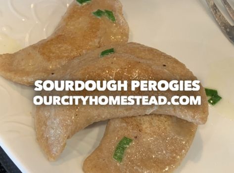 Sourdough Pierogi Dough, Sourdough Perogies, Sourdough Starter Discard Recipe, Whole Grain Flour, Dough Recipes, Healthier Food, Sour Dough, Cheesy Potatoes, Sourdough Recipes