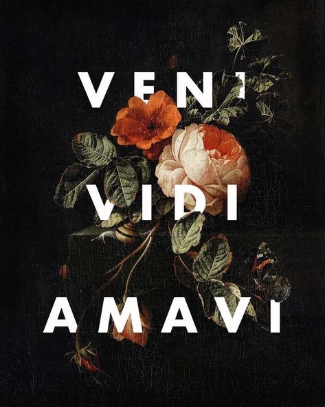 Veni Vidi Amavi Wallpaper, Veni Vidi Amavi Tattoo, Amavi Tattoo, Veni Vidi Amavi, Latin Quotes, Canvas Art Quotes, Floral Art Print, 8x10 Art Prints, Wall Art Wallpaper