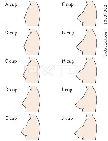 Body Type Drawing, Female Anatomy Reference, Body Types Women, Anatomy Tutorial, Female Pose Reference, Body Reference Drawing, Body Anatomy, Female Anatomy, Concept Art Drawing