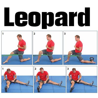 Kelly Starrett “Becoming a Supple Leopard” 50 Page Sample PDF Download Kelly Starrett, Couch Stretch, Leg Mobility, Crossfit Mobility, Crossfit Home Gym, Fascia Stretching, Mobility Workout, Stretching Flexibility, Tactical Fitness