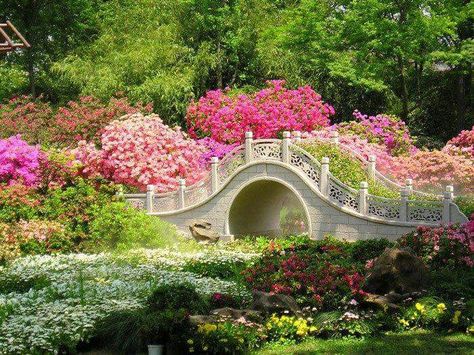 Flower bridge Surrounded By Flowers, Stone Bridge, Gorgeous Gardens, A Bridge, A Park, Japanese Garden, Dream Garden, Seville, Wisteria